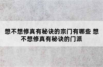 想不想修真有秘诀的宗门有哪些 想不想修真有秘诀的门派